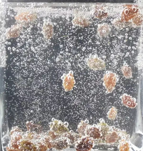 图片[28]| 科技爱好者周刊（第 321 期）：傅盛回忆录| 小妖客栈