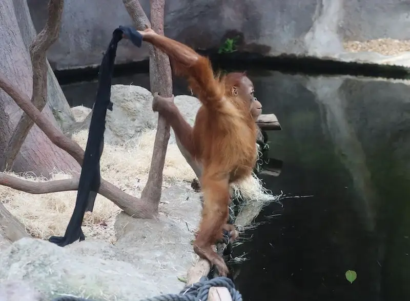 图片[11]| 科技爱好者周刊（第 323 期）：技术公司的口号比拼| 小妖客栈