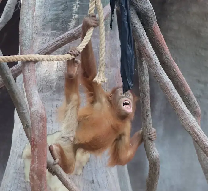 图片[10]| 科技爱好者周刊（第 323 期）：技术公司的口号比拼| 小妖客栈