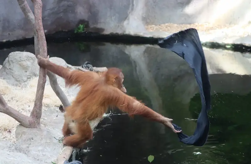 图片[12]| 科技爱好者周刊（第 323 期）：技术公司的口号比拼| 小妖客栈