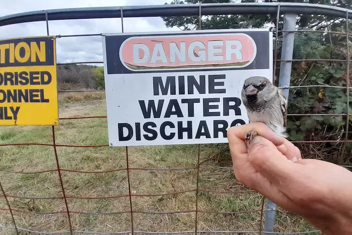 图片[18]| 科技爱好者周刊（第 325 期）：VS Code 编辑器的下一站是 Zed？| 小妖客栈