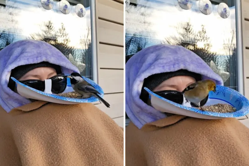 图片[7]| 科技爱好者周刊（第 331 期）：你可能是一个 NPC| 小妖客栈