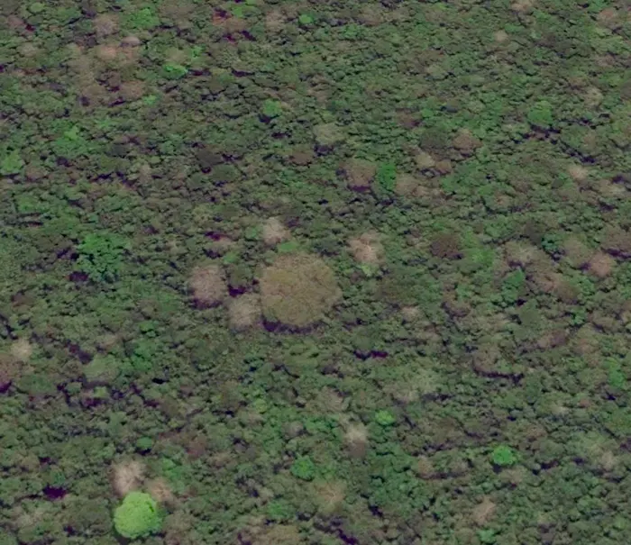 图片[11]| 科技爱好者周刊（第 334 期）：年终笔记四则| 小妖客栈