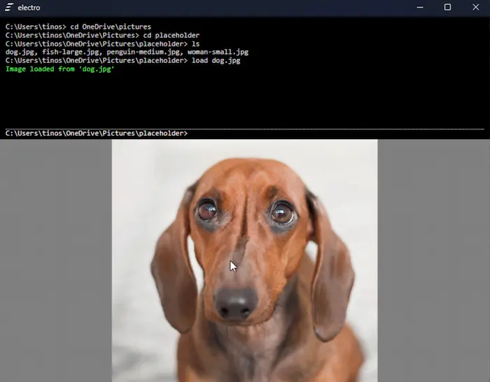 图片[26]| 科技爱好者周刊（第 339 期）：代币是什么| 小妖客栈