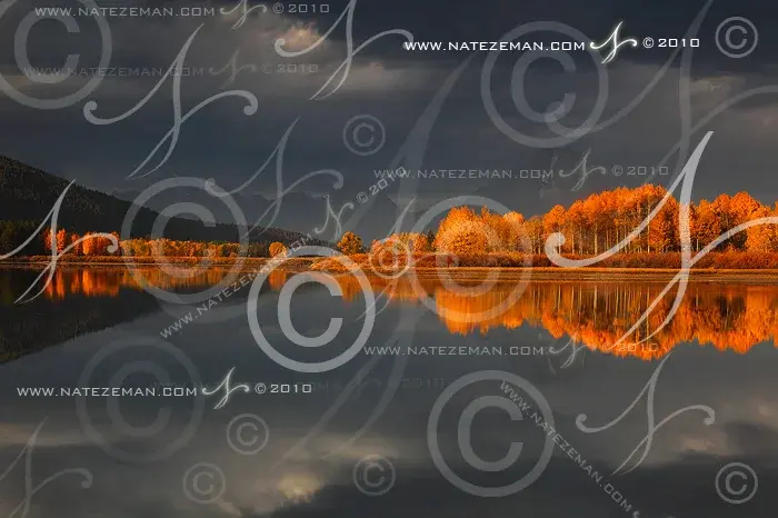 图片[15]| 科技爱好者周刊（第 342 期）：面试的 AI 作弊——用数字人去面试| 小妖客栈