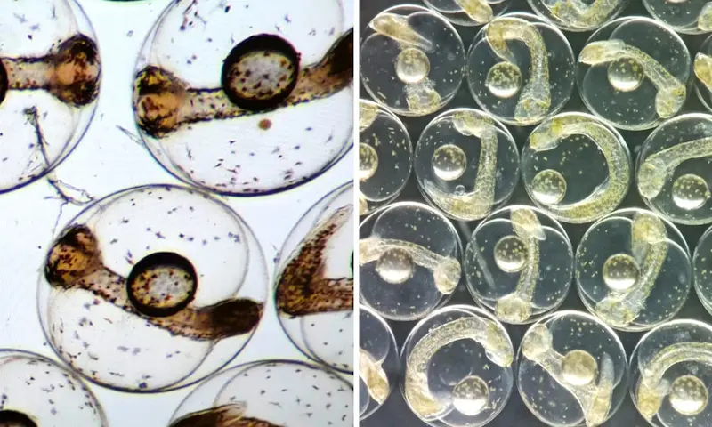 图片[6]| 科技爱好者周刊（第 347 期）：冷启动的破解之道| 小妖客栈